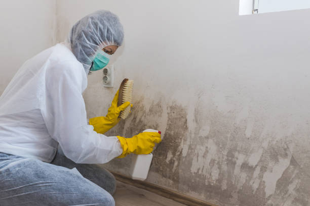 Best Mold Testing  in Wilson, NC