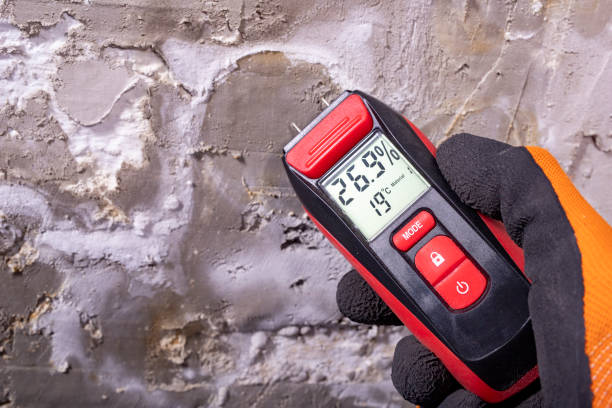 Professional Mold Removal in Wilson, NC