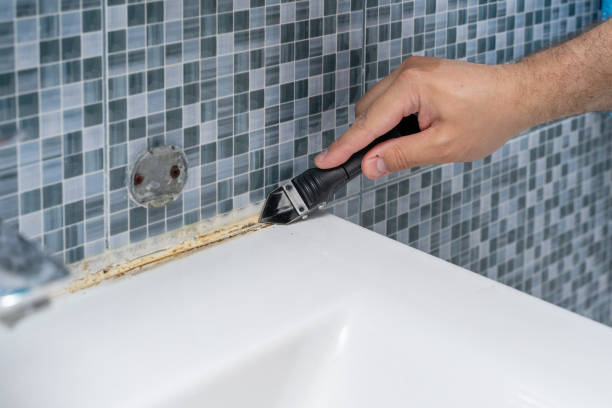 Reliable Wilson, NC Mold Removal Solutions